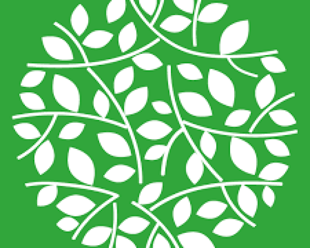 Best Digital Marketing Institute in Chandigarh in 2025