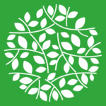 Best Digital Marketing Institute in Chandigarh